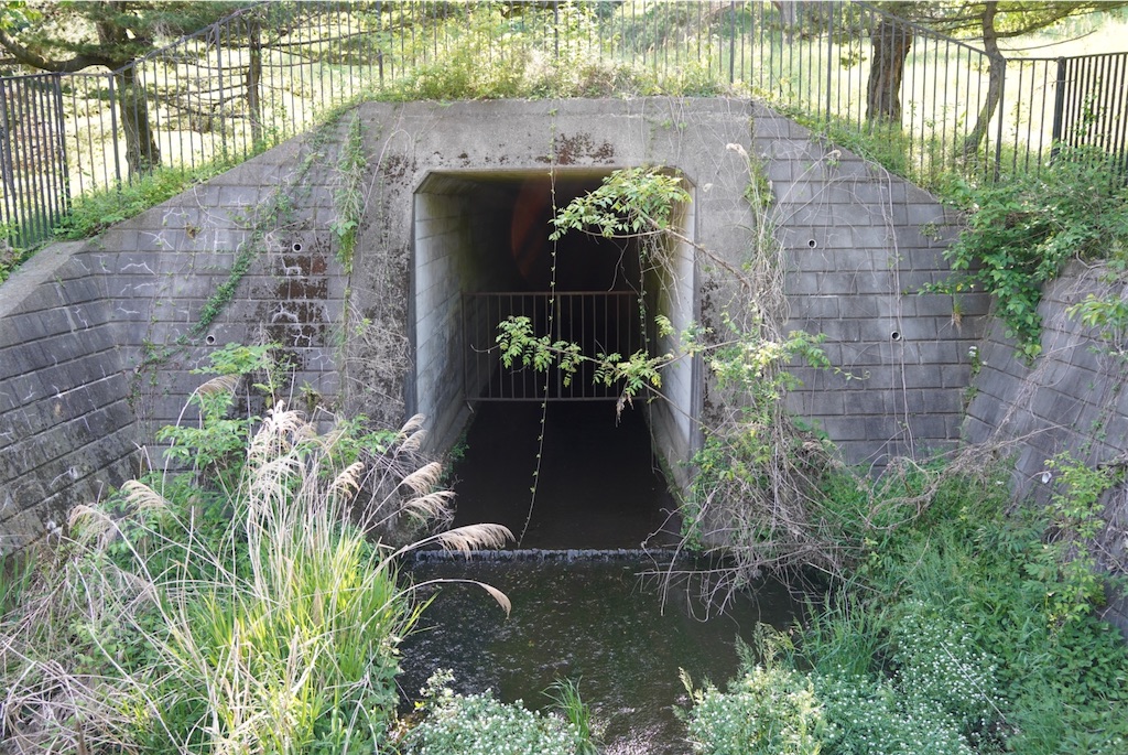 f:id:chizuchizuko:20250430212602j:image f:id:chizuchizuko:20250430212602j:image