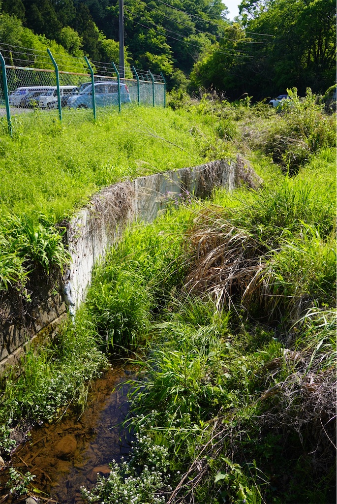 f:id:chizuchizuko:20250430212609j:image f:id:chizuchizuko:20250430212609j:image