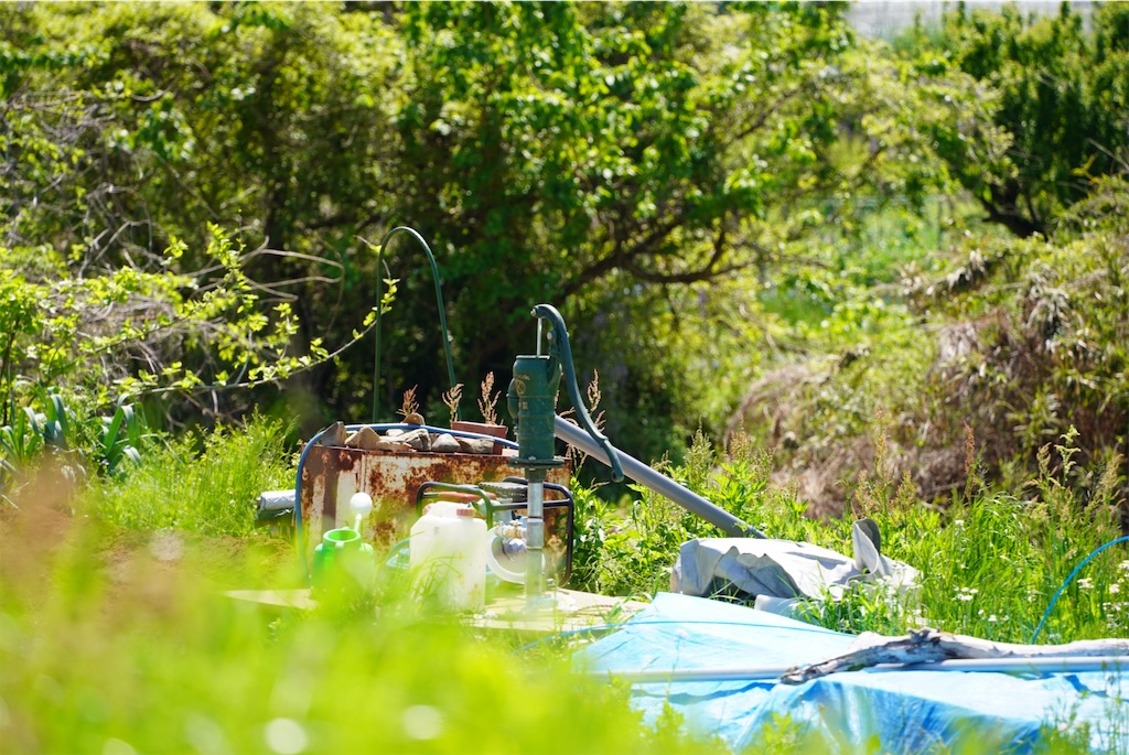 f:id:chizuchizuko:20250530172301j:image f:id:chizuchizuko:20250530172301j:image