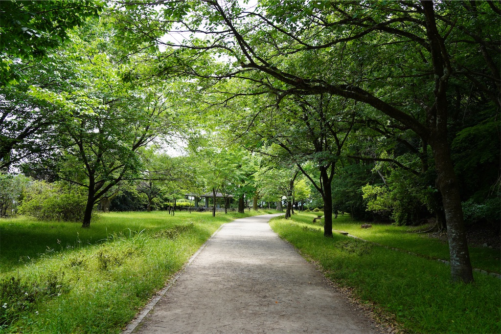 f:id:chizuchizuko:20250603183930j:image f:id:chizuchizuko:20250603183930j:image