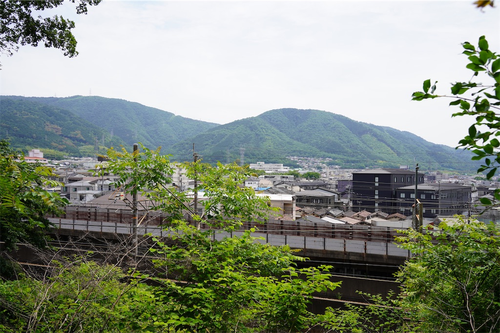 f:id:chizuchizuko:20250603183937j:image f:id:chizuchizuko:20250603183937j:image