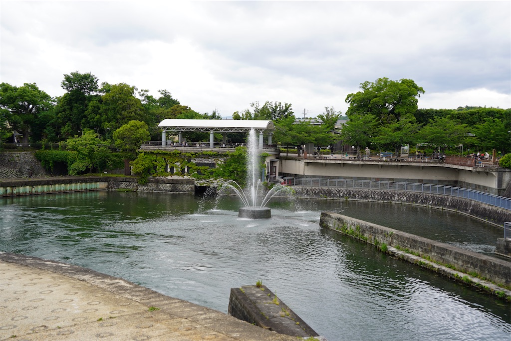 f:id:chizuchizuko:20250603185438j:image f:id:chizuchizuko:20250603185438j:image