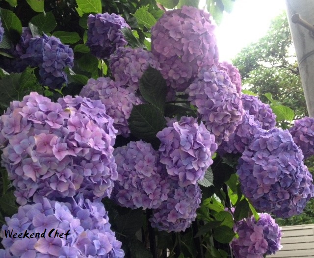 f:id:chizucoco:20160619180929j:plain