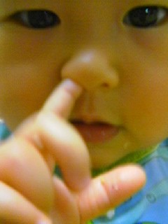 f:id:chizukichizuki:20060508193026j:image