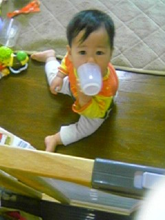 f:id:chizukichizuki:20060514143229j:image