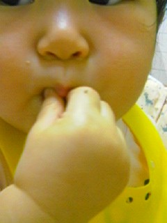 f:id:chizukichizuki:20060914201149j:image