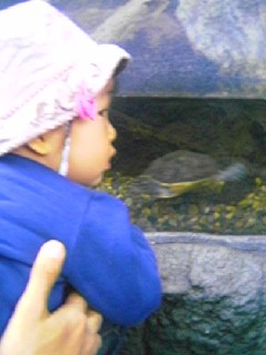 f:id:chizukichizuki:20061103152742j:image