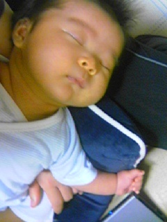 f:id:chizukichizuki:20070619013346j:image