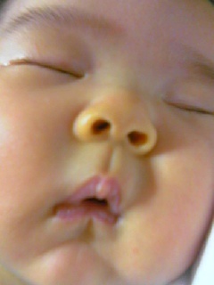 f:id:chizukichizuki:20070621231403j:image