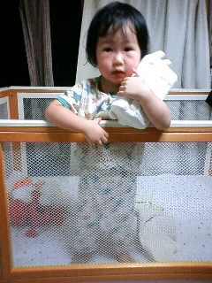 f:id:chizukichizuki:20070905210503j:image