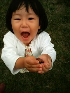 f:id:chizukichizuki:20071013143630j:image