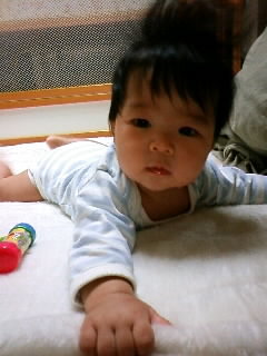 f:id:chizukichizuki:20071029194717j:image