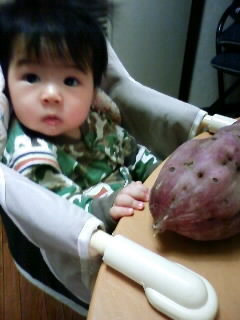 f:id:chizukichizuki:20071031134148j:image