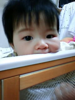 f:id:chizukichizuki:20071101212505j:image