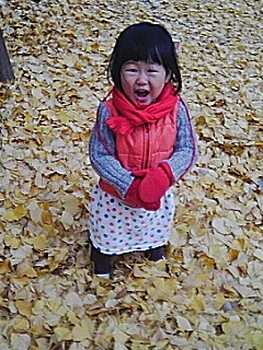 f:id:chizukichizuki:20071208124353j:image
