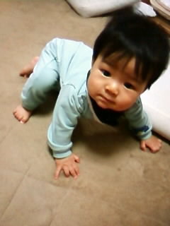 f:id:chizukichizuki:20071212173753j:image
