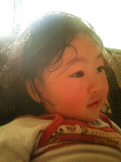f:id:chizukichizuki:20071214111210j:image