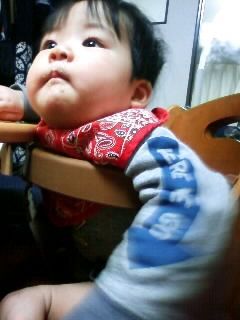 f:id:chizukichizuki:20071229173346j:image