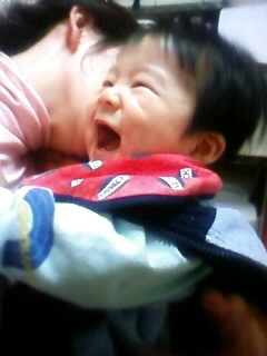 f:id:chizukichizuki:20080117202525j:image