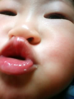 f:id:chizukichizuki:20080118202428j:image