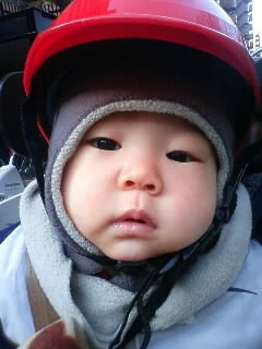 f:id:chizukichizuki:20080122092149j:image