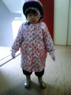 f:id:chizukichizuki:20080123084630j:image