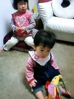 f:id:chizukichizuki:20080124172718j:image