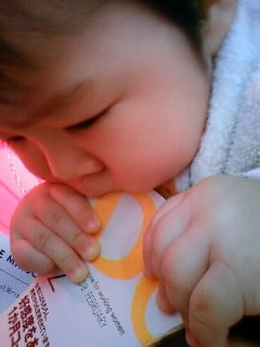 f:id:chizukichizuki:20080130141708j:image