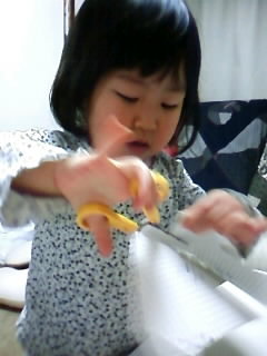 f:id:chizukichizuki:20080130180903j:image