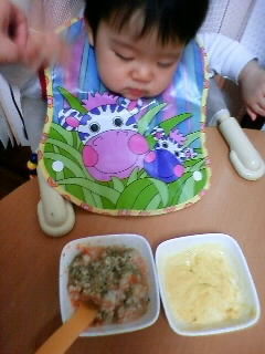 f:id:chizukichizuki:20080207122531j:image f:id:chizukichizuki:20080207122531j:image