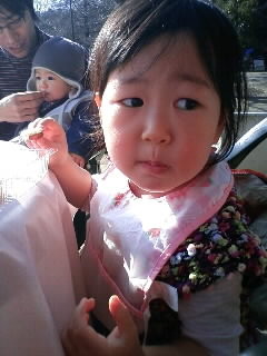 f:id:chizukichizuki:20080211140553j:image