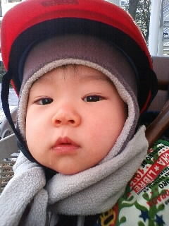 f:id:chizukichizuki:20080227145851j:image