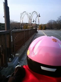 f:id:chizukichizuki:20080302163716j:image