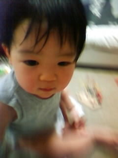 f:id:chizukichizuki:20080305190948j:image