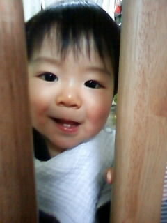 f:id:chizukichizuki:20080310205706j:image