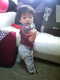 f:id:chizukichizuki:20080321114815j:image