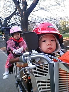 f:id:chizukichizuki:20080401172920j:image