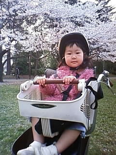 f:id:chizukichizuki:20080403171706j:image