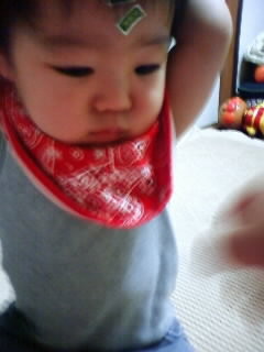 f:id:chizukichizuki:20080629183245j:image