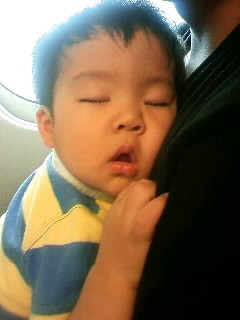 f:id:chizukichizuki:20080817101846j:image