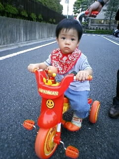 f:id:chizukichizuki:20080906174120j:image
