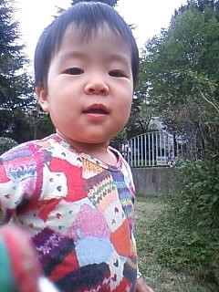 f:id:chizukichizuki:20081025142048j:image