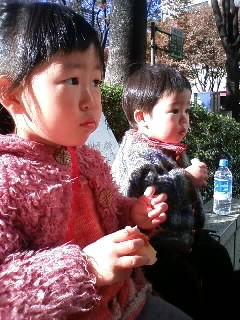 f:id:chizukichizuki:20081122131229j:image