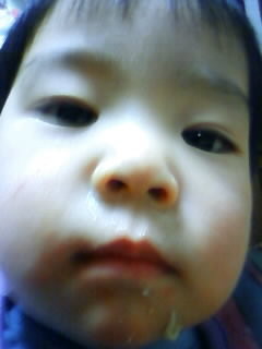 f:id:chizukichizuki:20081212204301j:image