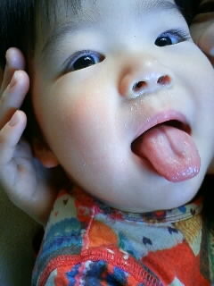 f:id:chizukichizuki:20081228151009j:image
