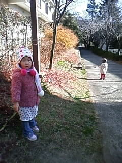 f:id:chizukichizuki:20090104111540j:image