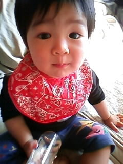 f:id:chizukichizuki:20090208145616j:image