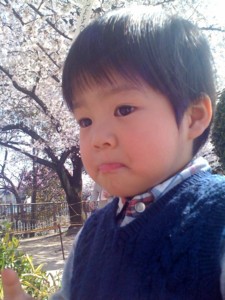 f:id:chizukichizuki:20100404143202j:image