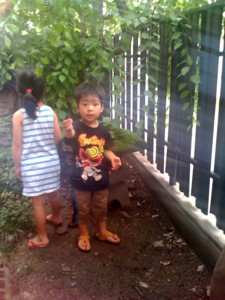 f:id:chizukichizuki:20100619155651j:image