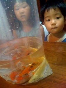 f:id:chizukichizuki:20100620130903j:image